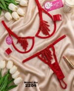 Bikini Cod 2204