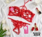 Bikini Cod 2219